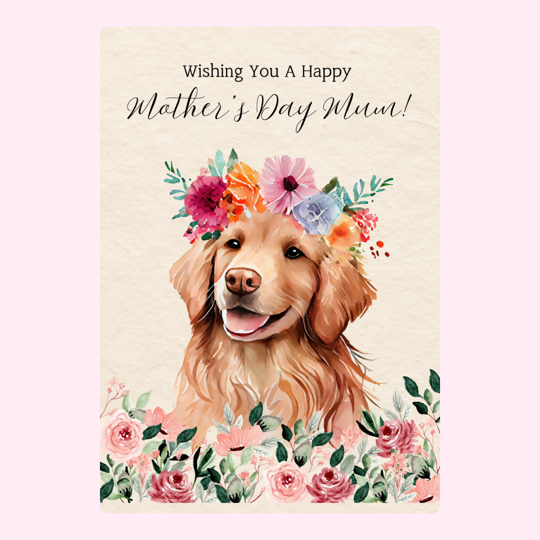 Mother's Day Mum
