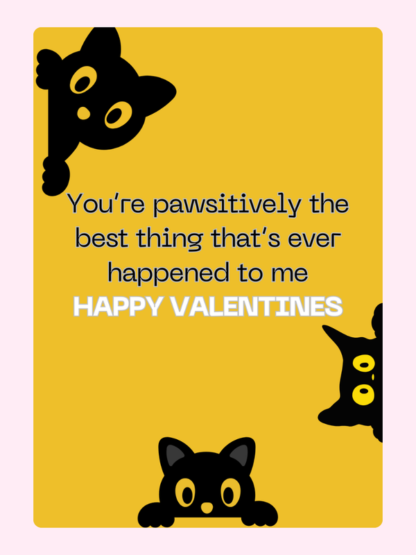 Valentines card with black cat illustrations, Happy Valentines