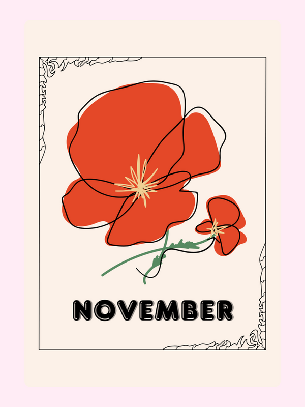 November flower illustration
