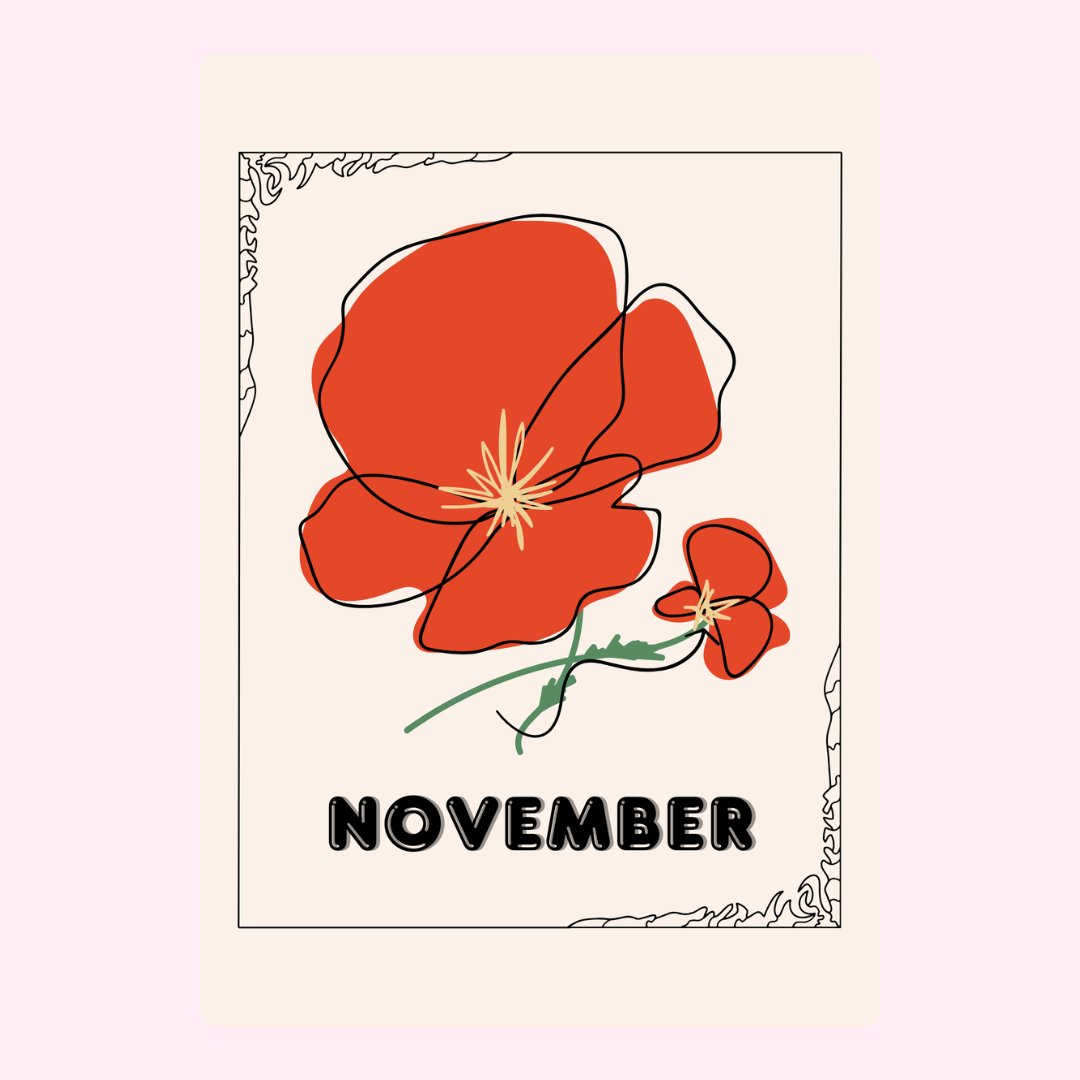 November flower illustration