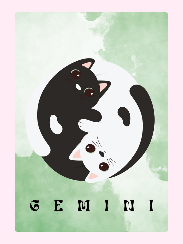 Gemini cats yin yang illustration