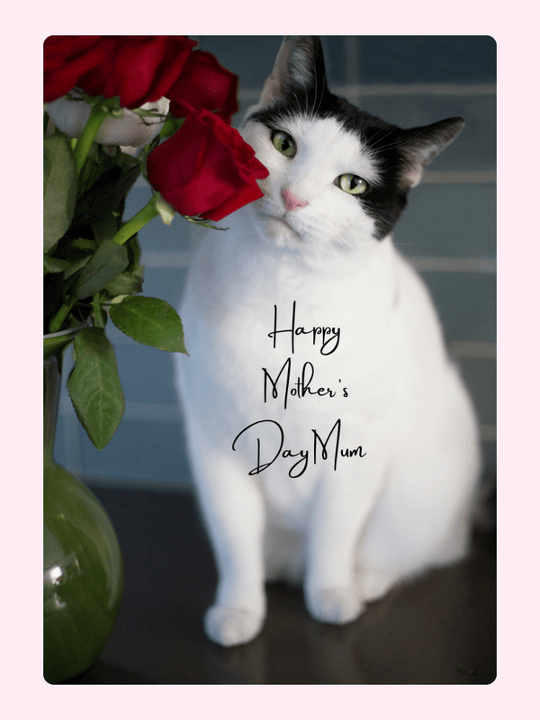 Happy Mother's Day Mum20 Cake Card