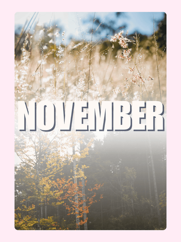 November image with autumn foliage