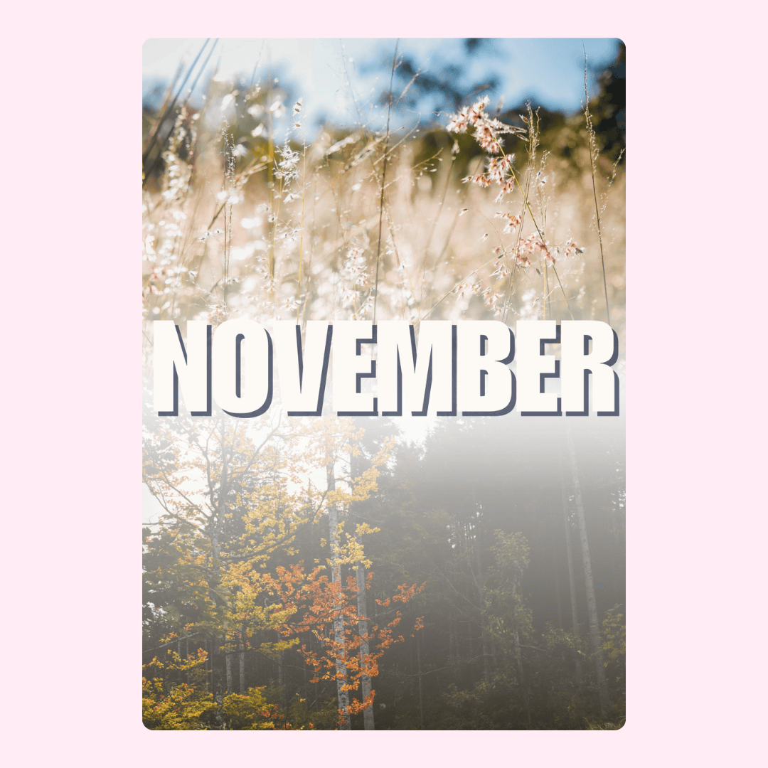 November image with autumn foliage