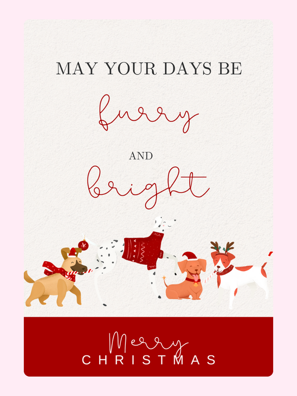 Furry & Bright letterbox cake card with freshly baked cake slices