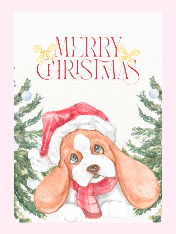 Merry Christmas-Dog letterbox cake card with freshly baked cake slices