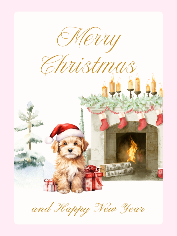 Puppy letterbox cake card with freshly baked cake slices