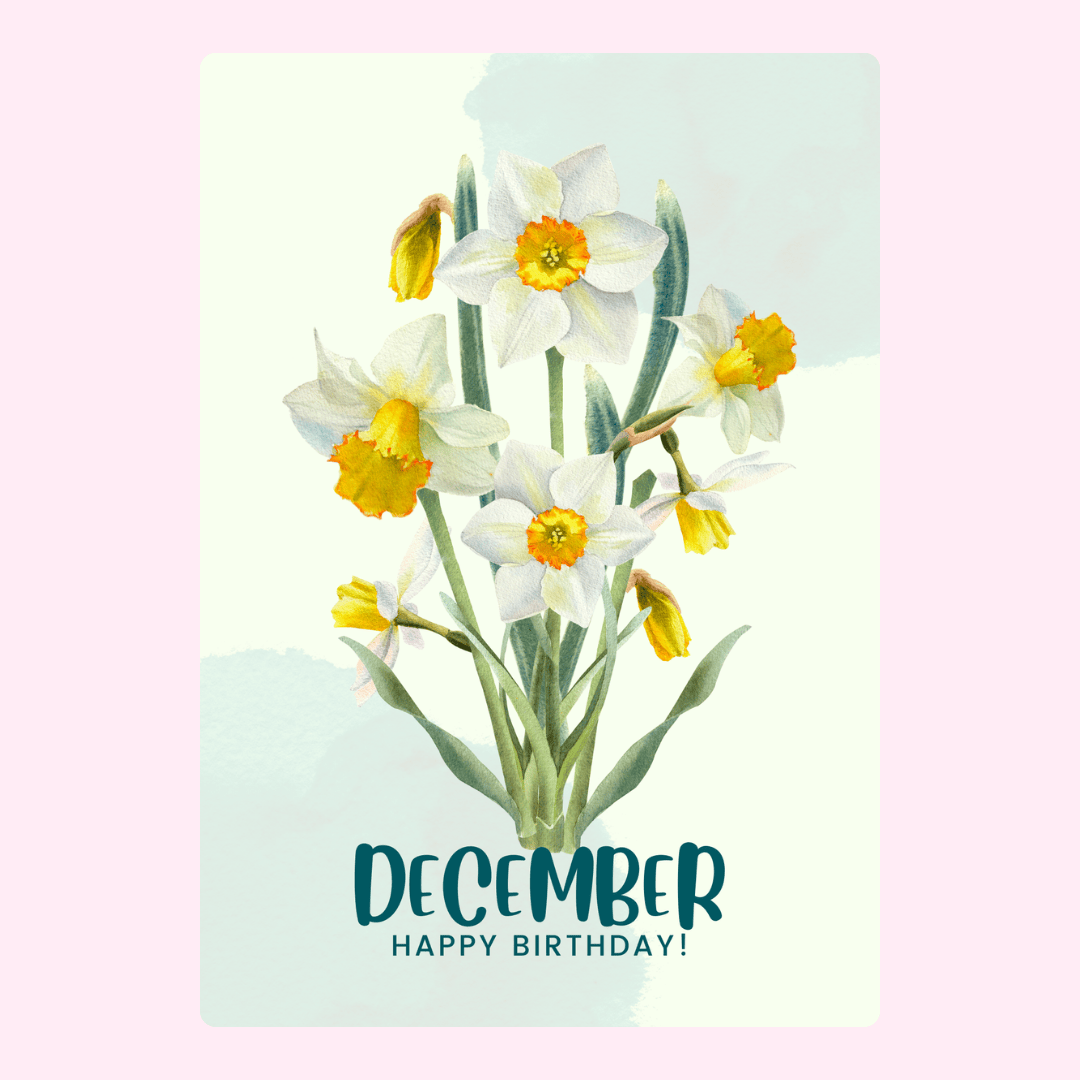 December Happy Birthday card with white daffodils