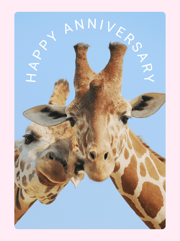Happy Anniversary card with giraffes