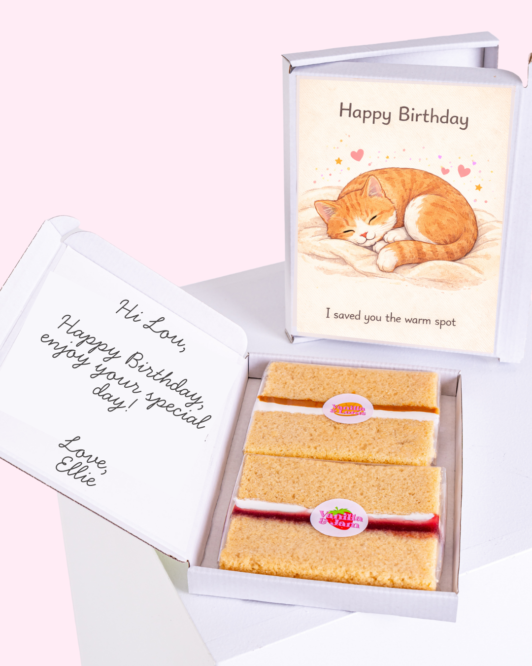 Birthday gift box with cake slices and cute sleeping cat birthday card inside
