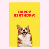 birthday cake cards for From the Pets