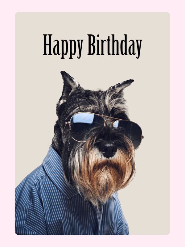Cool schnauzer dog wearing sunglasses and shirt on happy birthday card
