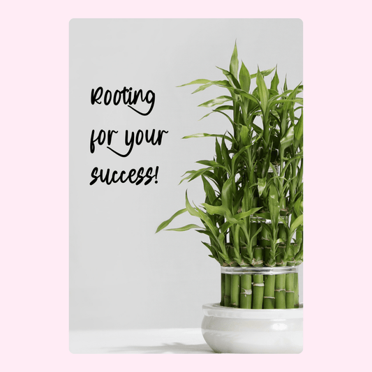 Lucky bamboo plant with Rooting for your success! message.