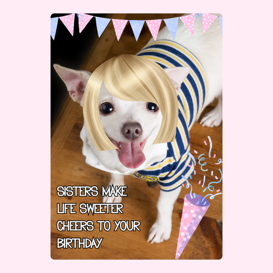 Birthday dog with wig, banner, and party popper