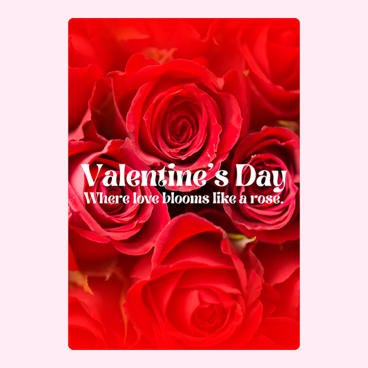 Valentine's Day roses image, where love blooms.