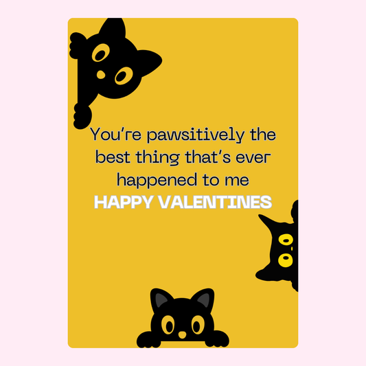 Valentines card with black cat illustrations, Happy Valentines