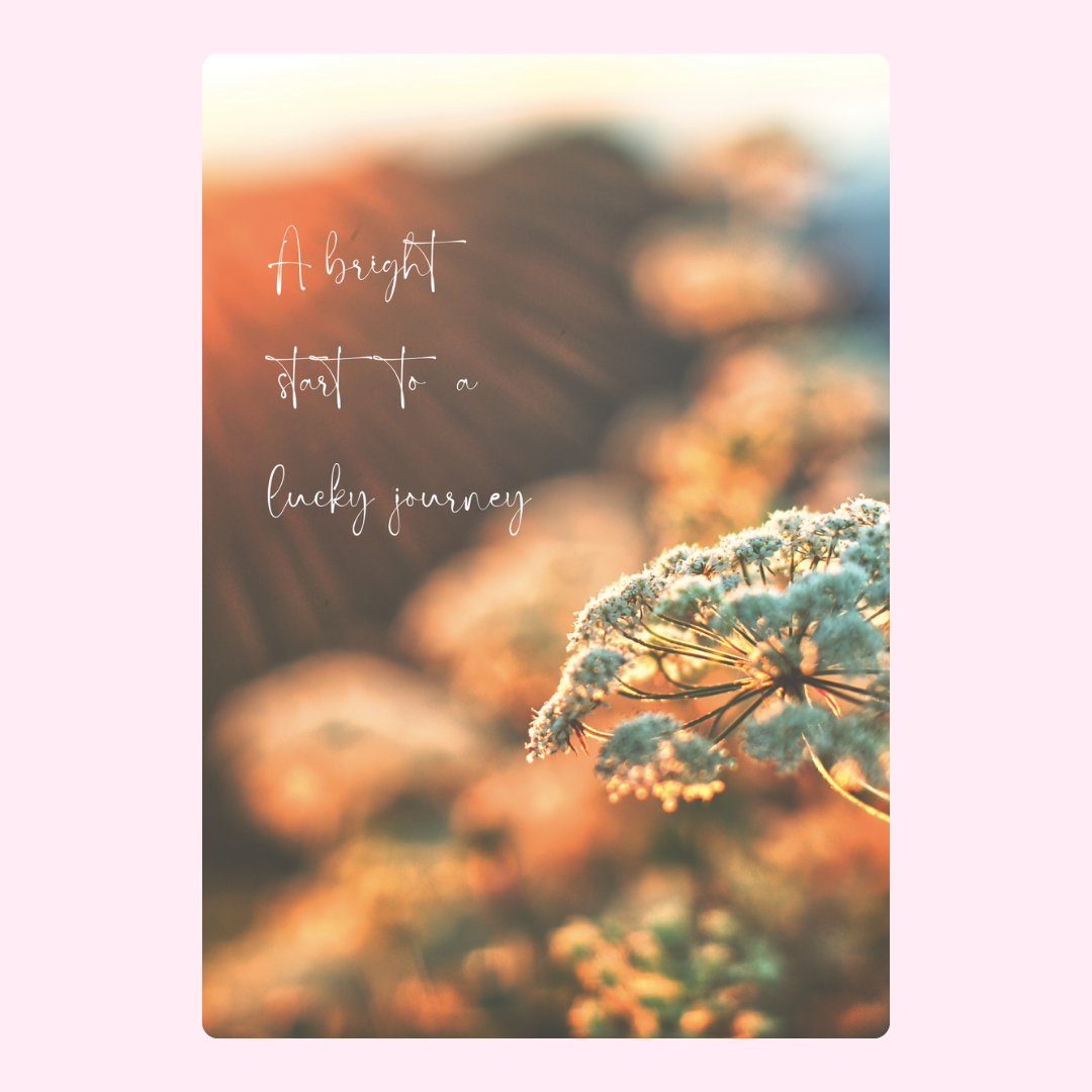 A bright start to a lucky journey