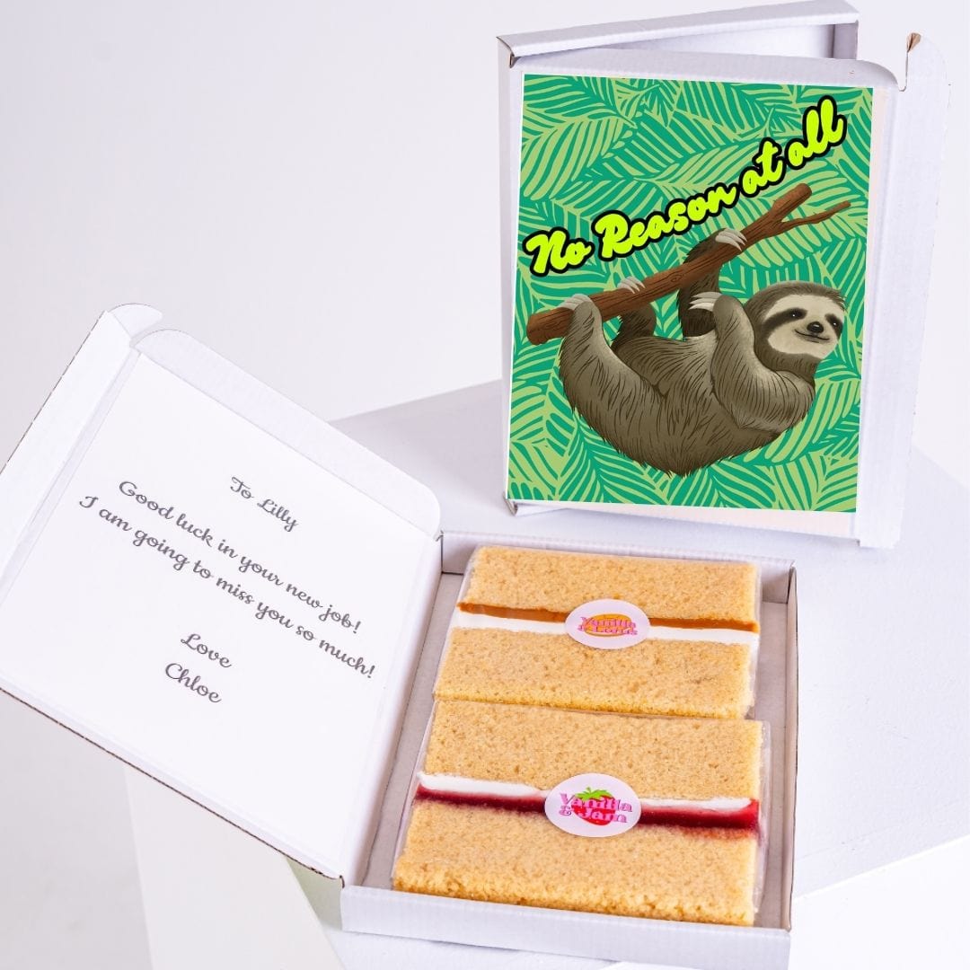 Card & cake, No Reason at All sloth design.