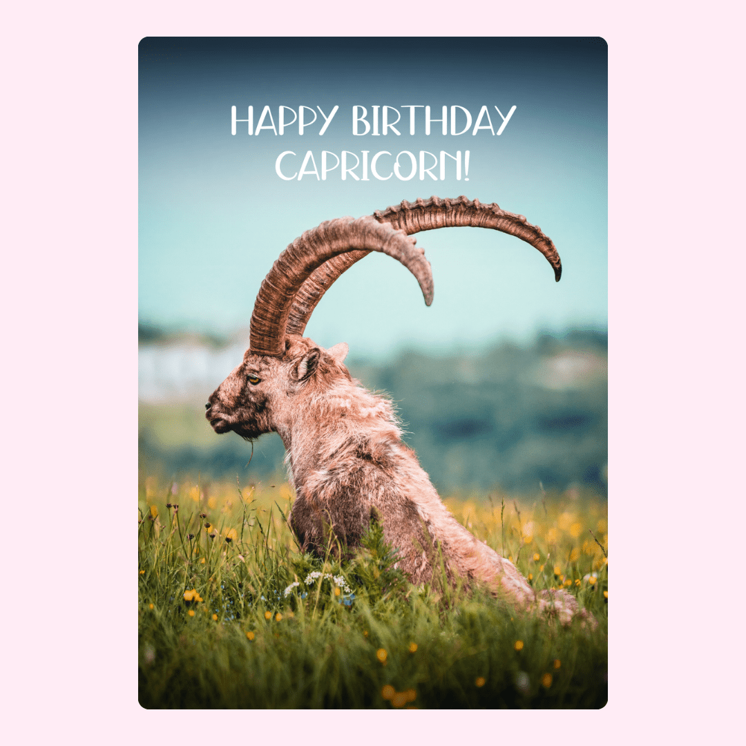 Capricorn birthday card with mountain goat