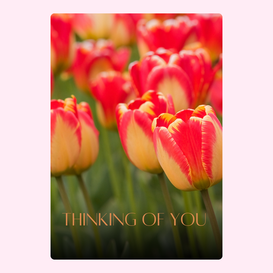 Thinking of You card with red and yellow tulips