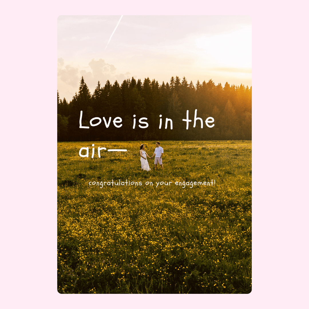 Engagement announcement in field at sunset