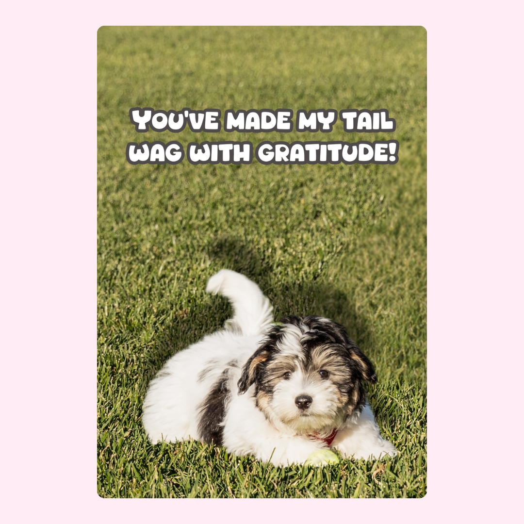 Puppy card with gratitude message (19_6adb950e)
