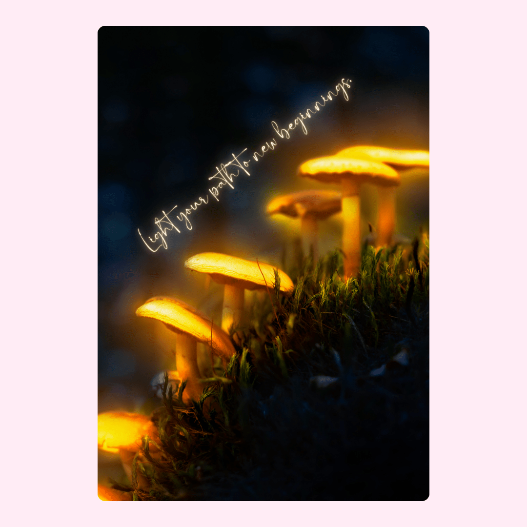 Glowing mushrooms, Light your path to new beginnings