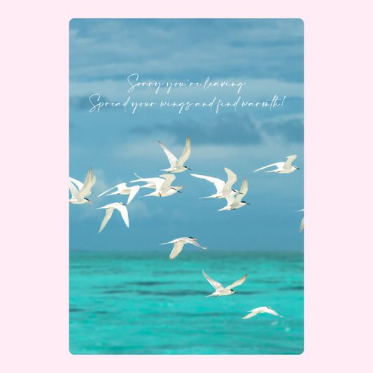 Farewell card with birds over ocean.