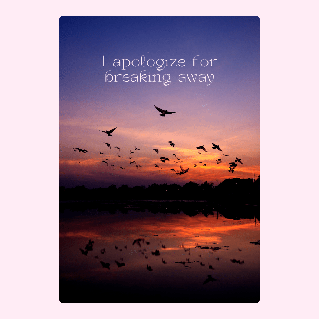 Sunset with birds, I apologize for breaking away - 1_e2b9e30f