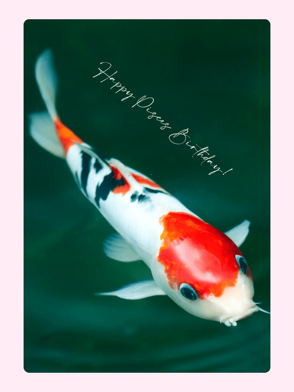 Happy Pisces Birthday! Koi fish greeting card.
