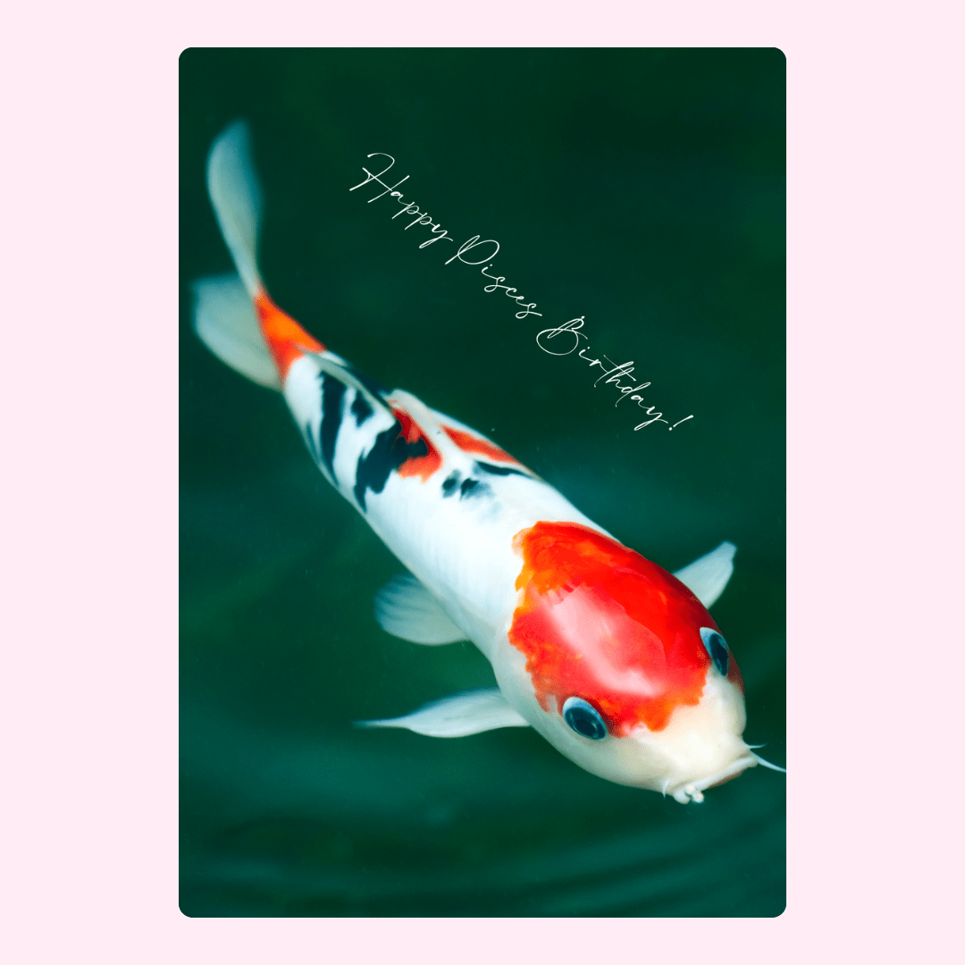 Happy Pisces Birthday! Koi fish greeting card.