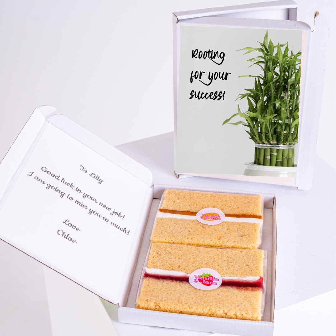 Cake and bamboo plant gift for Lilly, Rooting for your success