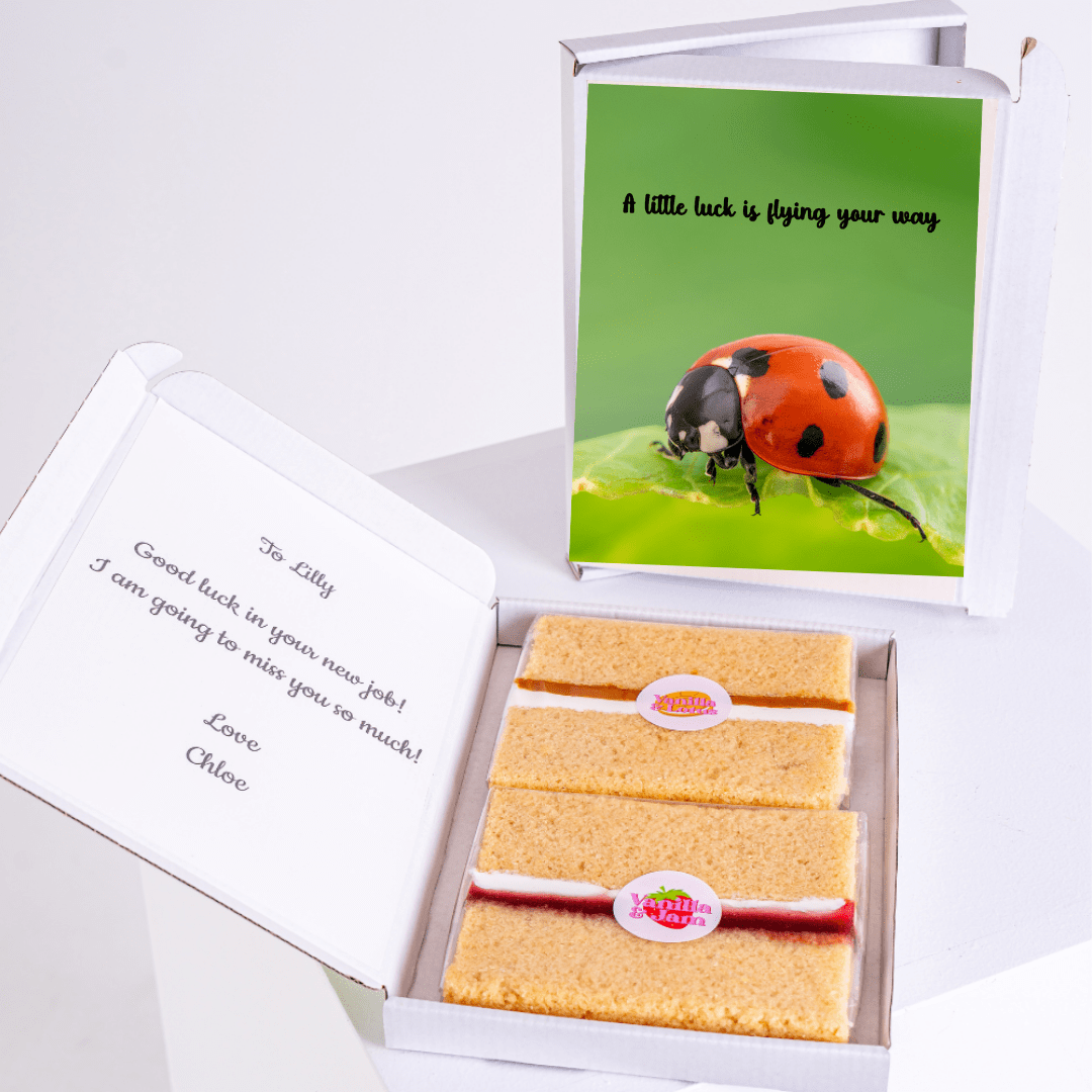 Ladybug card & cake gift for Lilly, good luck message.