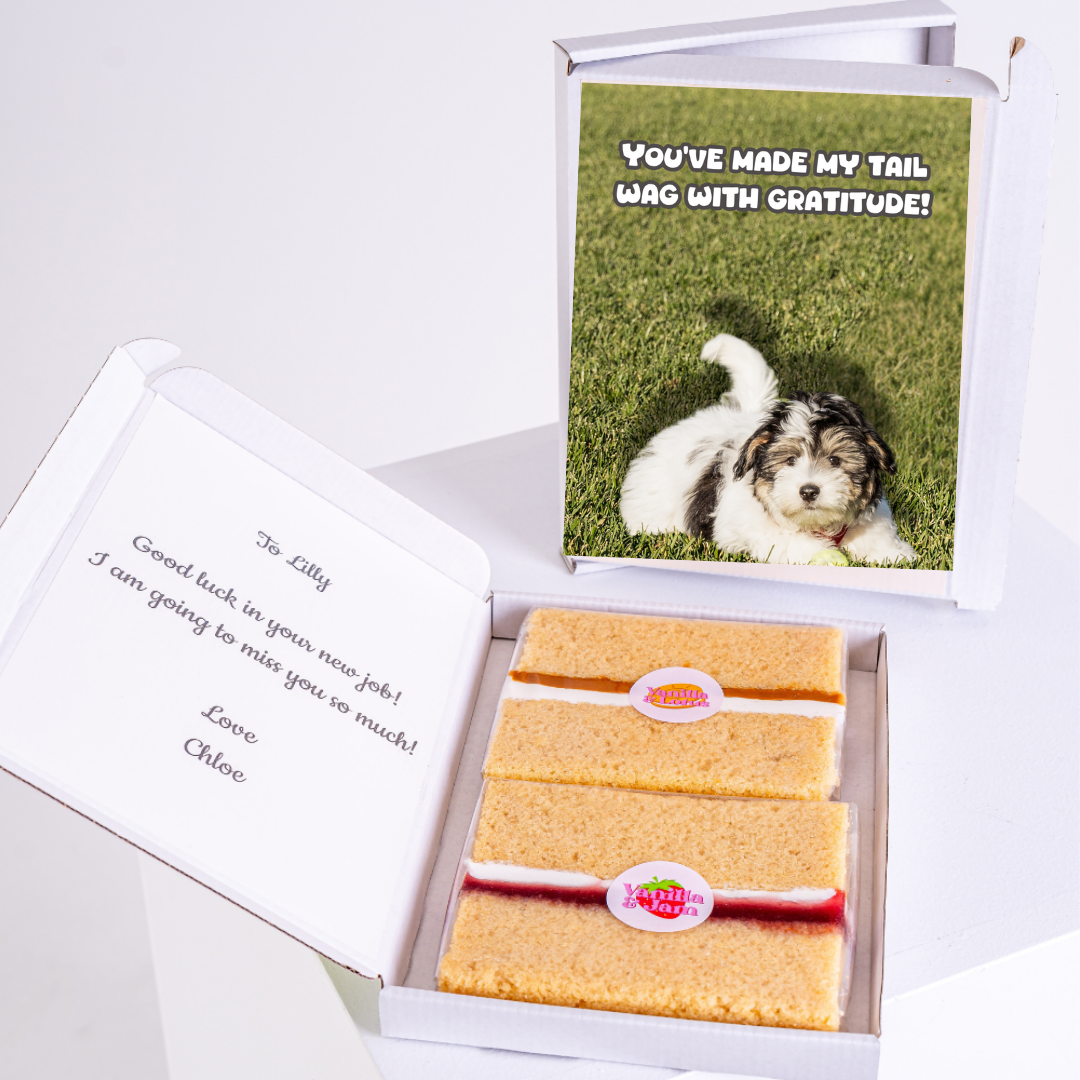 Gift box with cake and dog-themed card for Lilly