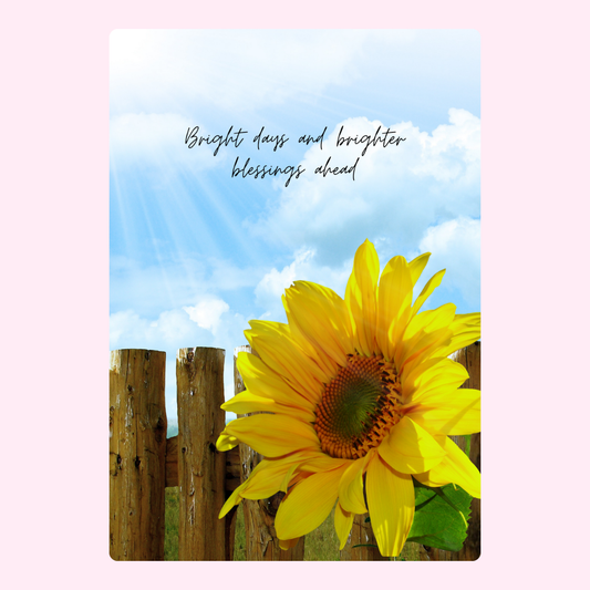 Sunflower with bright days quote