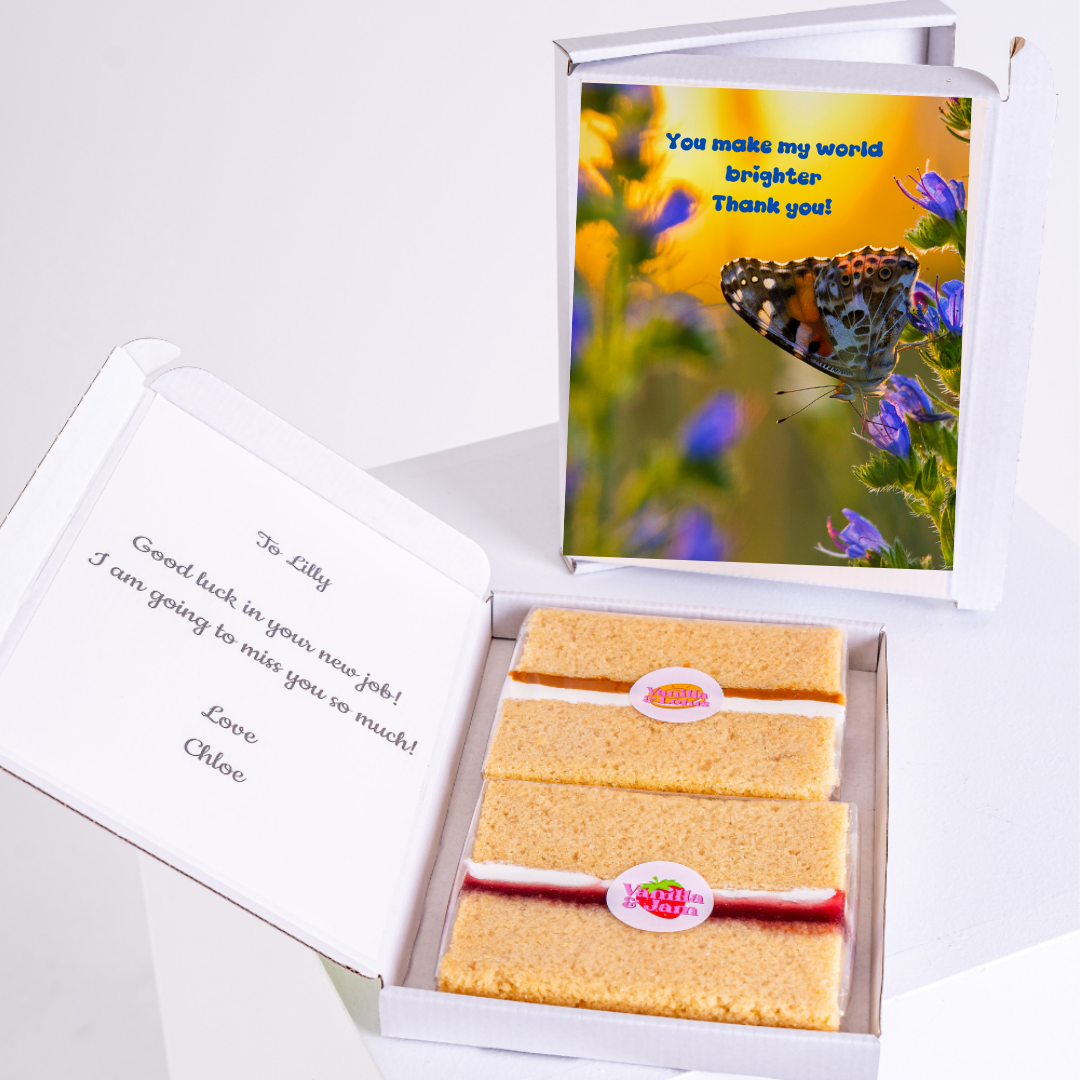 Lilly's new job gift box with cake and butterfly card