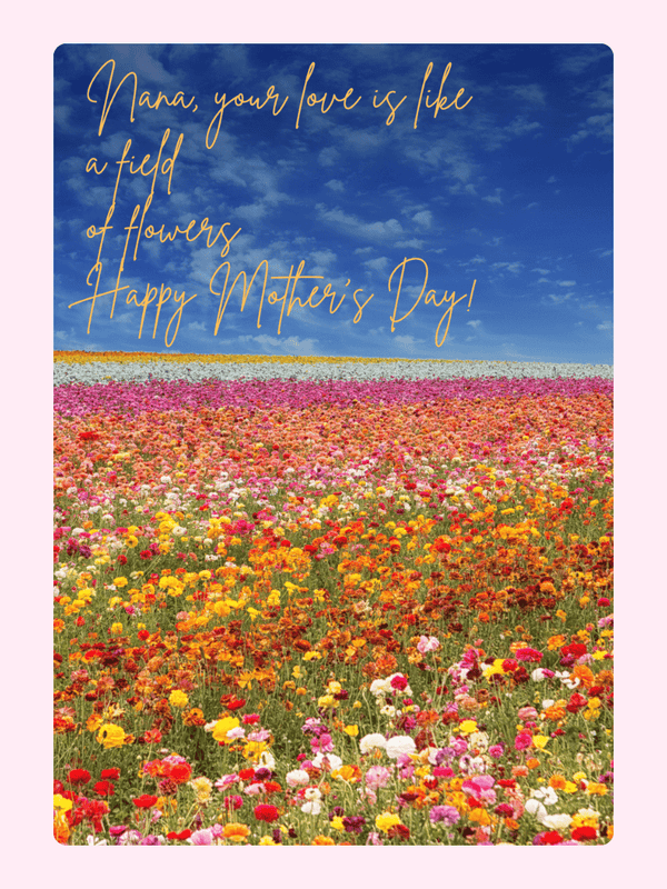 field of flowers.