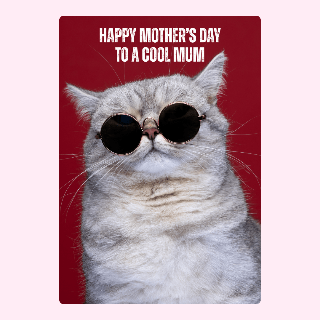 Mother's Day card with cool cat wearing sunglasses.