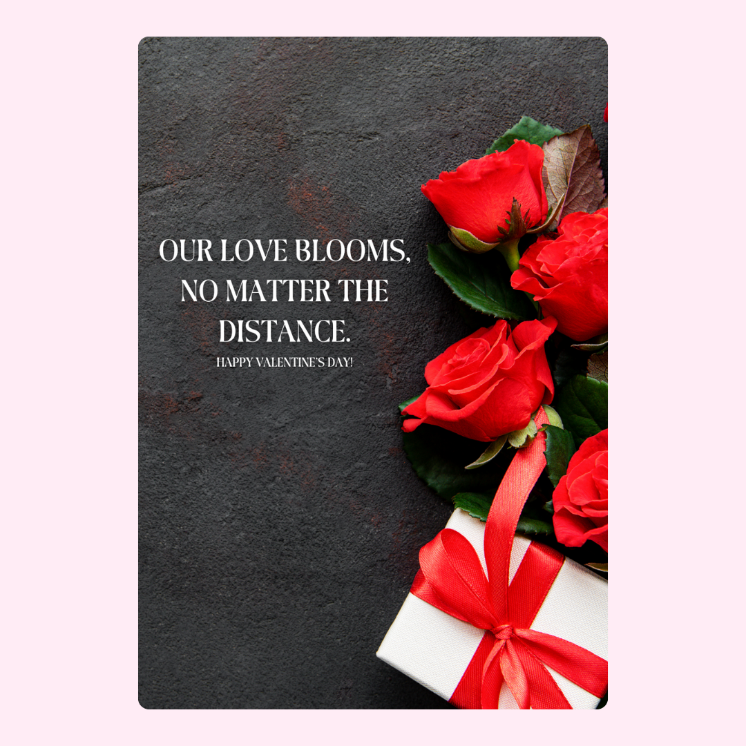 Valentine's Day card with roses and gift, Our love blooms message.