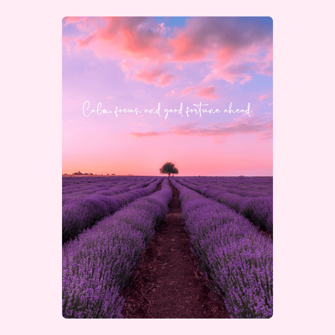 Lavender field at sunset with inspirational quote (7_40445b7c)