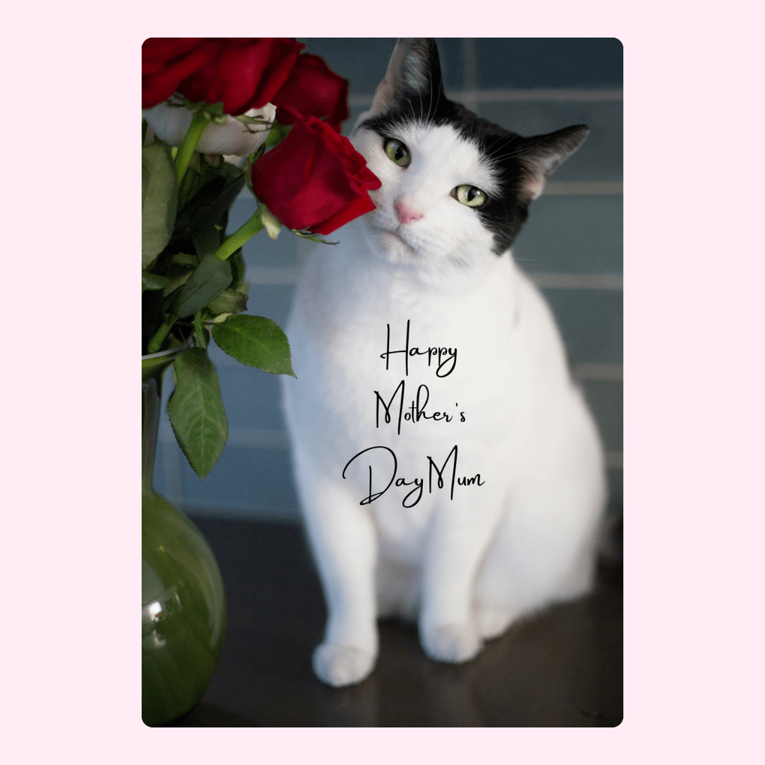 cat with roses, 7_97ada158
