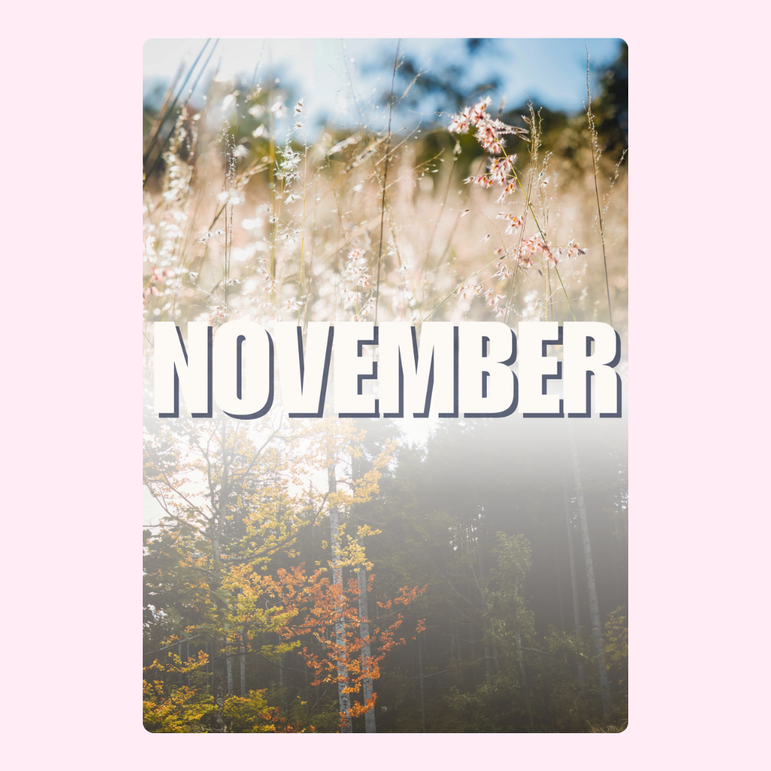 November Nature