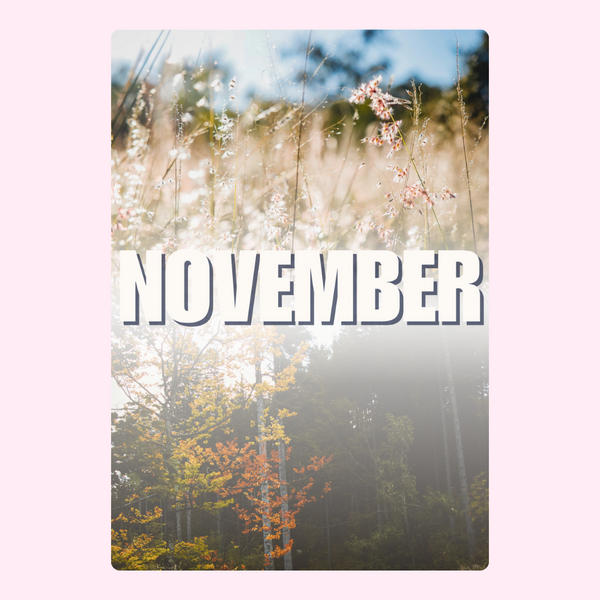 November Nature