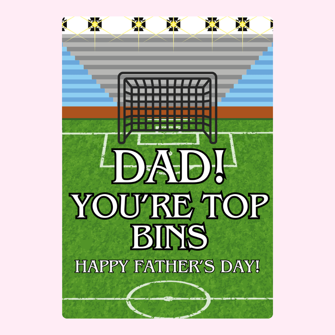 Dad! You're Top Bins soccer field design