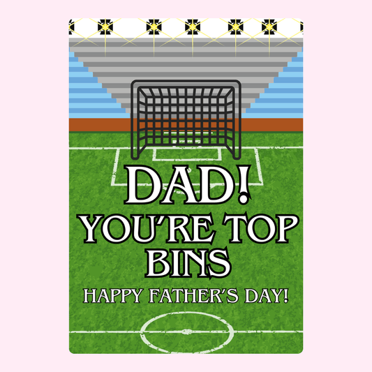 Dad! You're Top Bins soccer field design