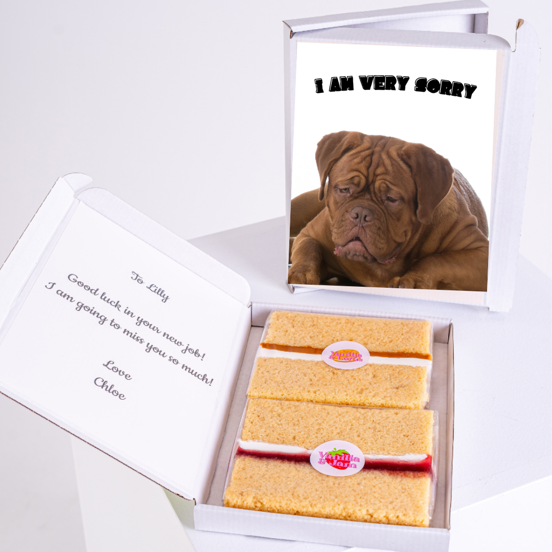 Apology gift with dog and treats