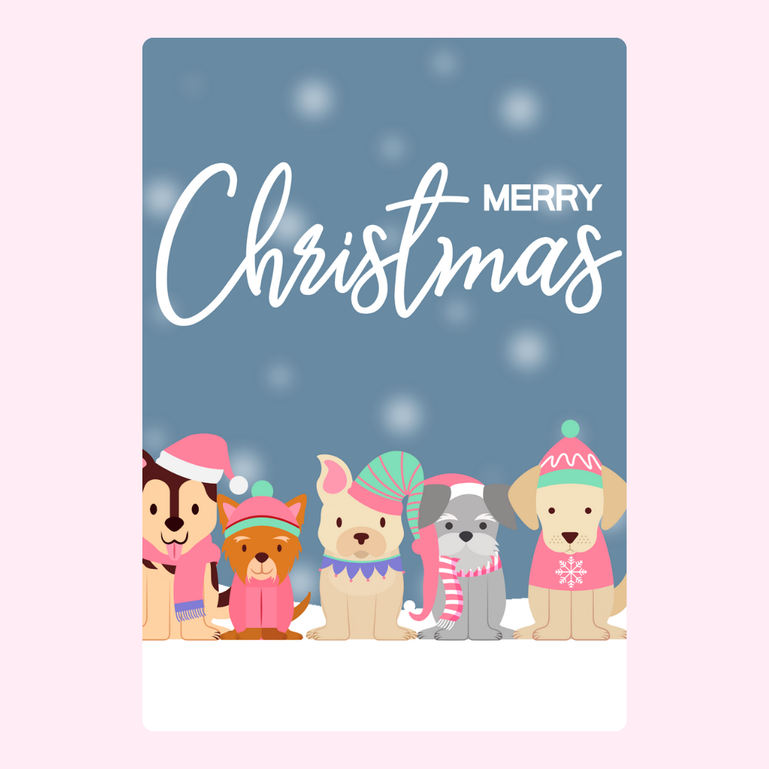 Merry Christmas
