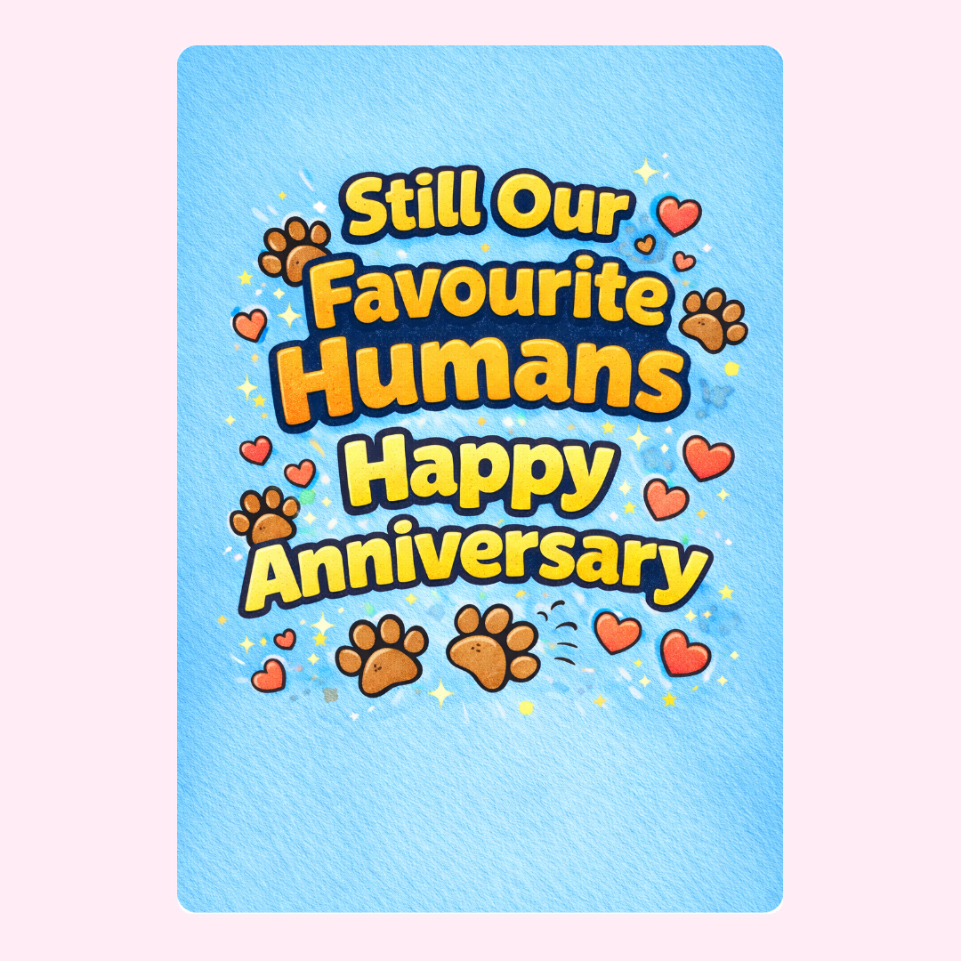 ANNIV-FTP02