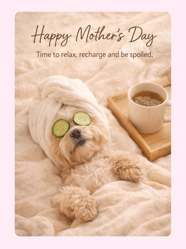 HMD-012 letterbox cake card with freshly baked cake slices