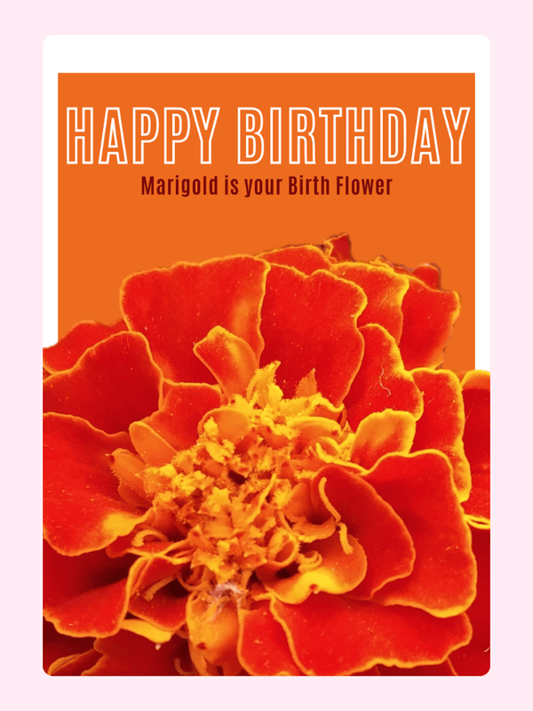 Happy Birthday card with marigold, your birth flower.